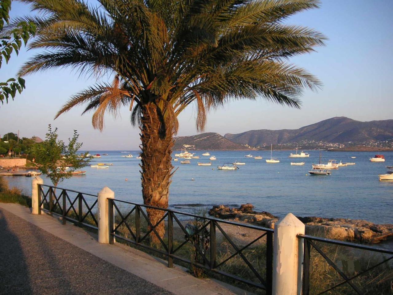 The Mirador Boutique Villa With Scenic Sea View Pórto Ráfti Buitenkant foto