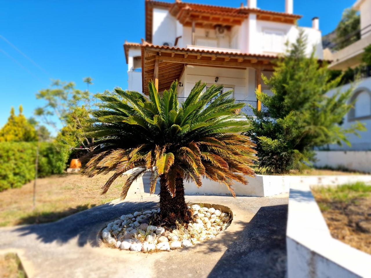 The Mirador Boutique Villa With Scenic Sea View Pórto Ráfti Buitenkant foto